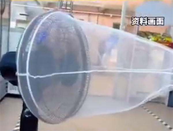 低成本高效灭蚊！女子自制捕蚊器5小时抓五六十只蚊子
