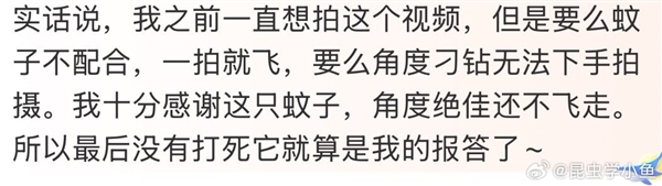 迄今最清晰蚊子吸血全过程被拍下 网友：怎么忍住不拍死它